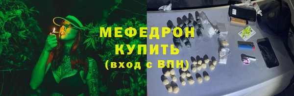 стаф Аркадак