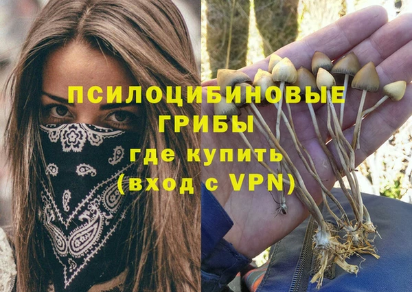 мдпв Армянск