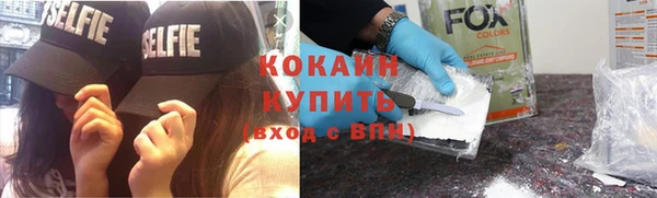 стаф Аркадак