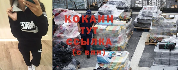 стаф Аркадак
