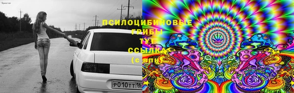 мдпв Армянск