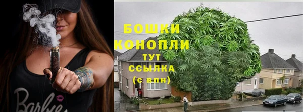 стаф Аркадак