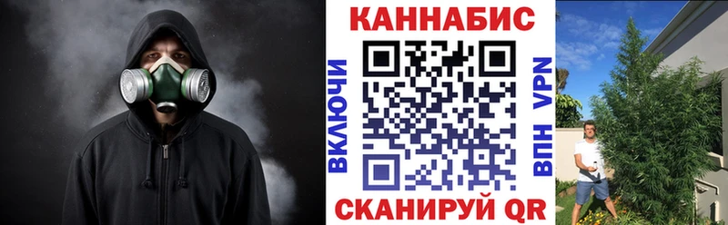 Шишки марихуана Bruce Banner Орёл